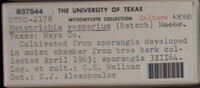 Image Associated With the Occurence